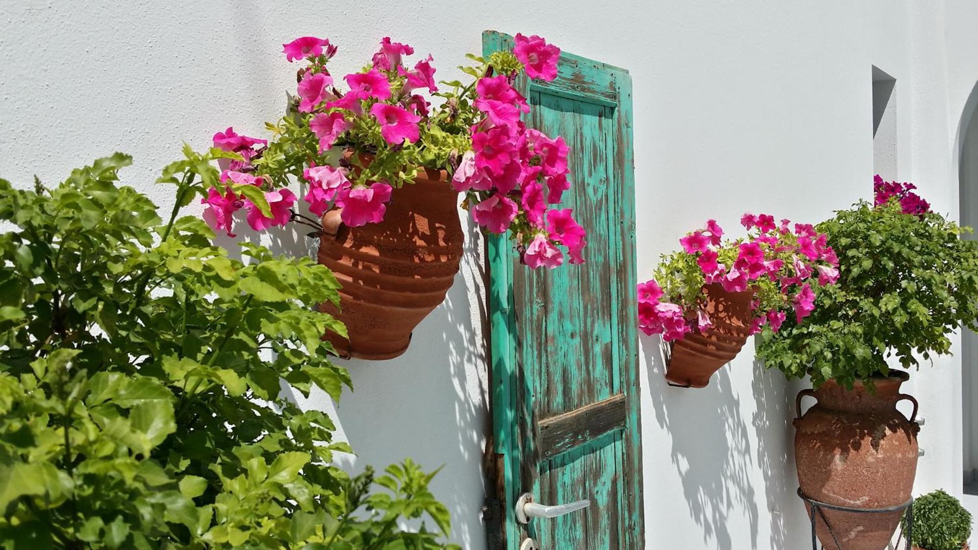 Villa Anna Maria Alikí Exterior foto
